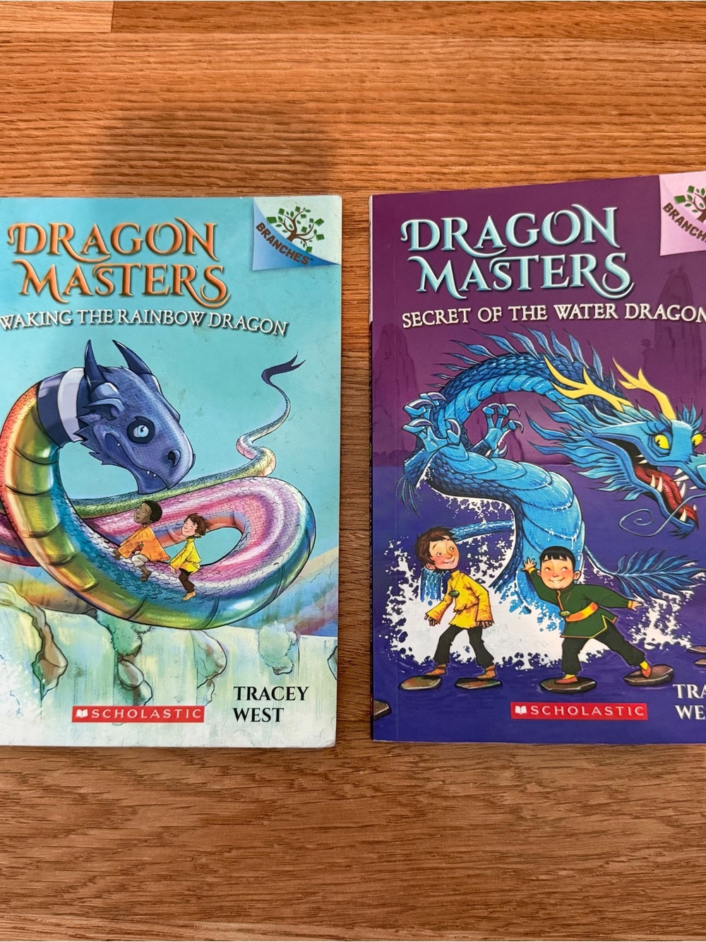 2 Dragon Masters Books